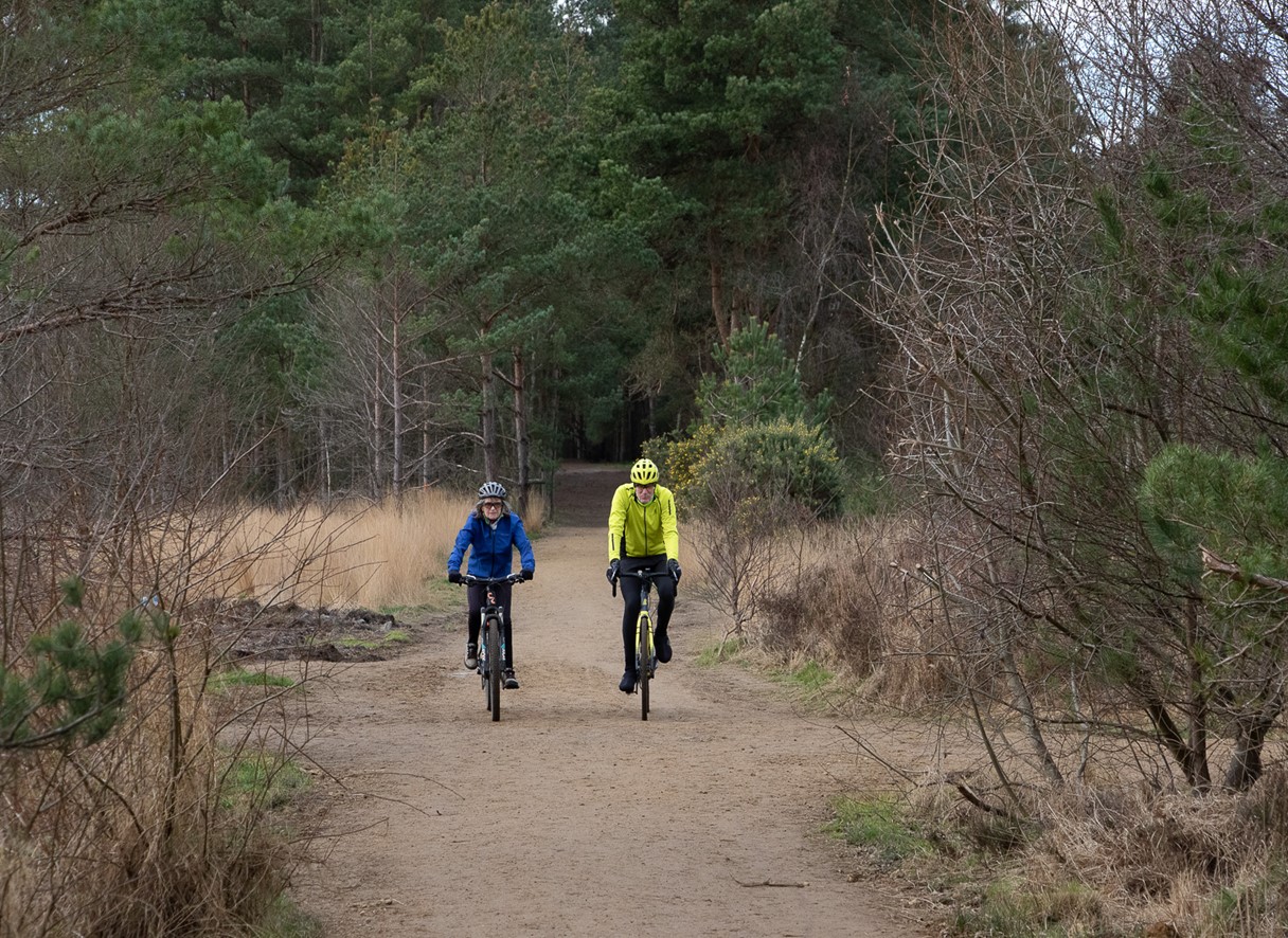 New all-weather cycle and walking trail across Thursley Common